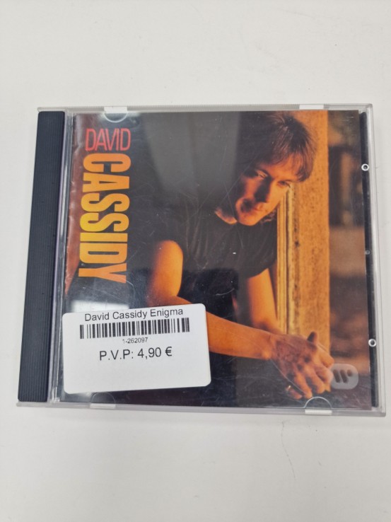 1-1-262097-1-David Cassidy Enigma