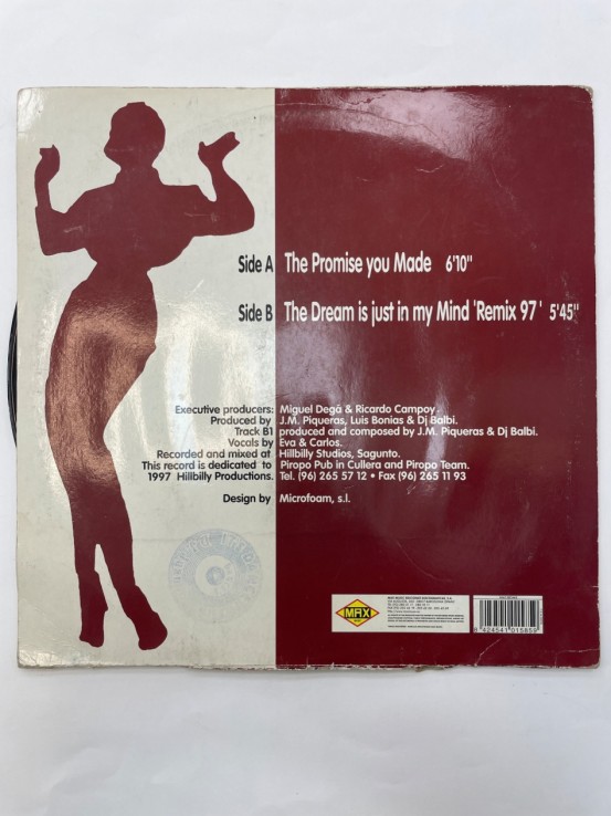 1-1-267567-2-Vinilo vinilo the promise you made