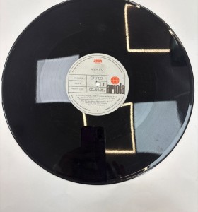 1-1-267606-1-Vinilo mango estrella del norte 2