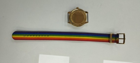 6-6-160368-1-Reloj Pulsera Premium Unisex Michael Kors Mk 2836 Arcoiris