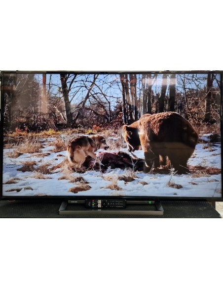 1-1-240196-3-Televisor LED smart Toshiba 55ua3d63dg