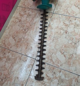1-1-241031-1-Cortasetos Bosch AHS 550-24 ST  2
