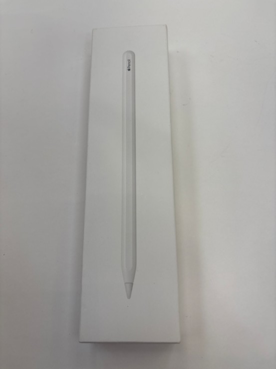 1-1-269982-1-Informática Apple Pencil 2 Gen