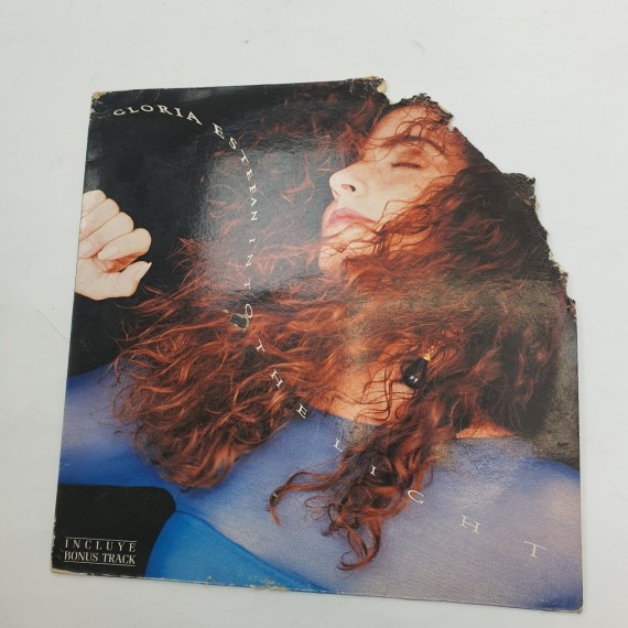 1-1-246847-1-Vinilo glori estefan into the light 