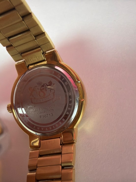 8-8-77808-2-Reloj Pulsera Caballero Festina F16713