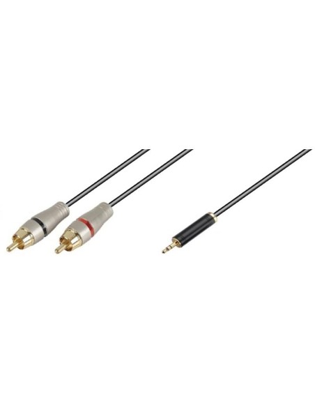 7-7-70310-1-2M Cable Minijack a 2 RCA