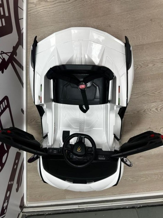 9-9-77222-2-Bebé y juguetes Coche dirigido Lamborghini 