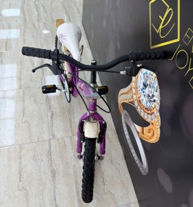 8-8-78102-1-Bicicleta Nino Hanna Montana  2