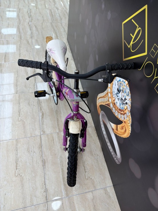 8-8-78102-2-Bicicleta Nino Hanna Montana 