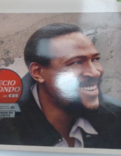 1-1-274179-1-Vinilo Marvin Gaye Dream Of A Lifetime