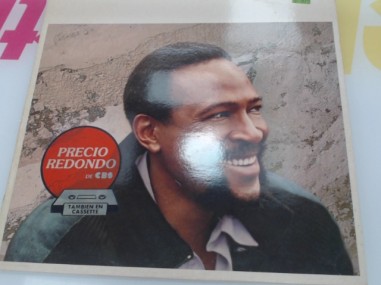 1-1-274179-1-Vinilo Marvin Gaye Dream Of A Lifetime