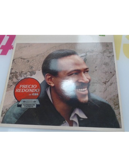 1-1-274179-1-Vinilo Marvin Gaye Dream Of A Lifetime