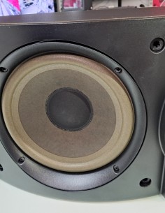 6-6-169865-1-Altavov Bose 301 Serie V (Left) 2