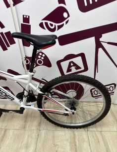 8-8-78996-1-Bicicleta Nino Freerider  2