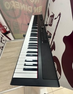 9-9-78623-1-Teclado Electrónico Artesia Pe-88  2