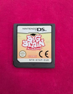6-6-170633-1-nintendo ds nintendo big brain