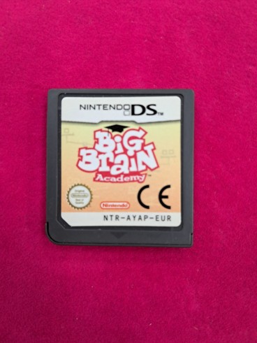 6-6-170633-1-nintendo ds nintendo big brain