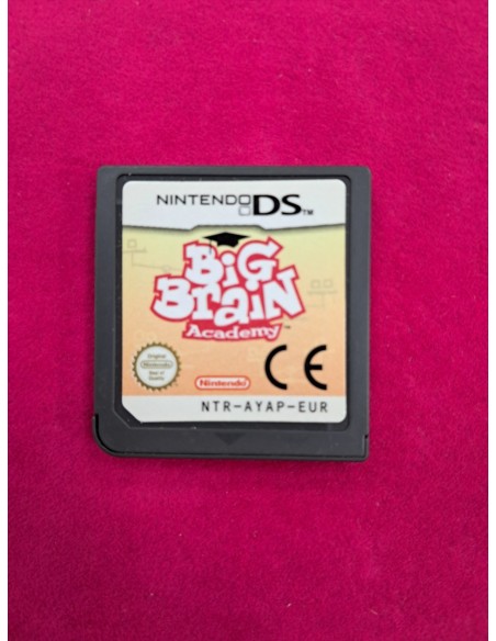6-6-170633-1-nintendo ds nintendo big brain