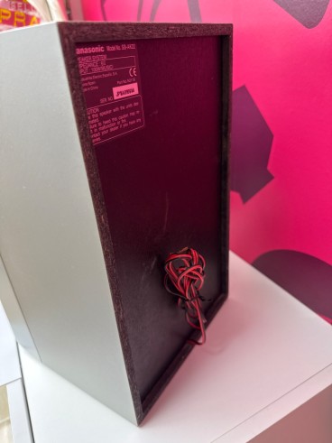 8-8-79702-3-Sonido Pareja de Panasonic