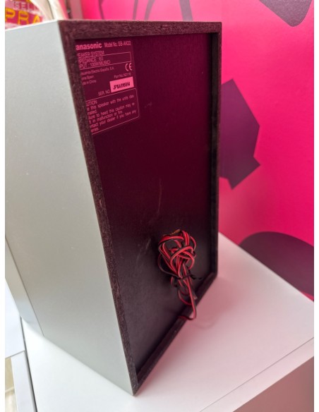 8-8-79702-3-Sonido Pareja de Panasonic