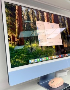 9-9-79742-1-Ordenador Sobremesa Apple Imac 21.2 M1 2024 8Gb Ram 256gb Ssd 2