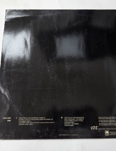 1-1-278245-1-Vinilo The Police - Ghost in the Machine  2