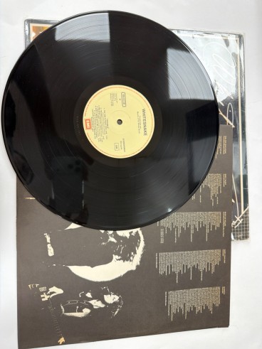 1-1-278529-1-Vinilo whitesnake trouble