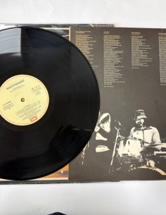 1-1-278529-1-Vinilo whitesnake trouble 2