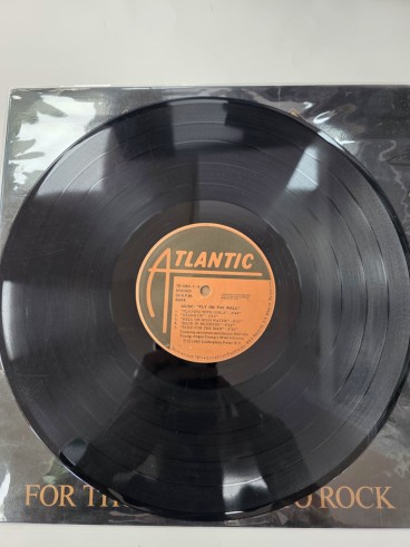 1-1-278524-3-Vinilo acdc for those about to rock 1981
