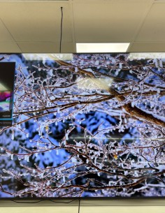 1-1-276164-1-Televisor LED Samsung Tu85du7175u Smart