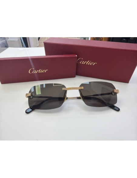 1-1-277005-1-Gafas De Sol Caballero Gafas De Sol Cartier Première CT0271S 