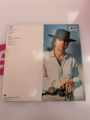 1-1-279476-2-Vinilo Stevie Ray Vaughan And Double Trouble The Sky Is 