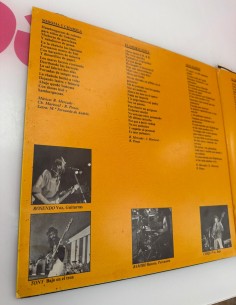 1-1-279455-1-Vinilo Vinilo Leño - 1979  2