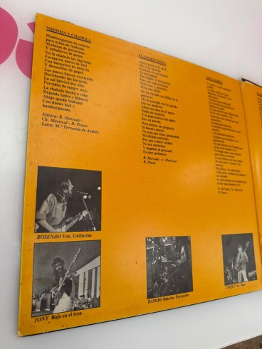 1-1-279455-2-Vinilo Vinilo Leño - 1979 