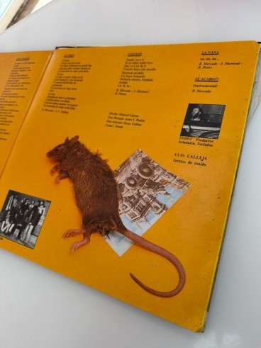 1-1-279455-3-Vinilo Vinilo Leño - 1979 