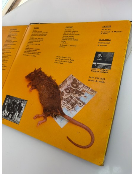 1-1-279455-3-Vinilo Vinilo Leño - 1979 