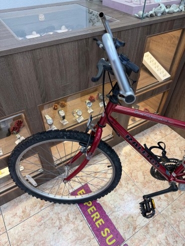 1-1-279736-2-Bicicleta Montana Raleigh Avalancha Roja M