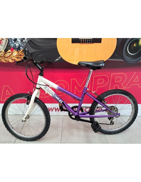 6-6-172593-1-Bicicleta Nino Boomerang 20