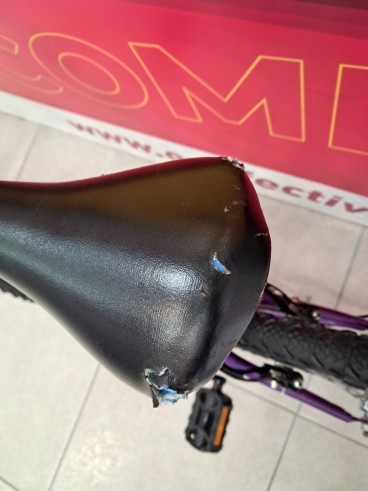 6-6-172593-5-Bicicleta Nino Boomerang 20