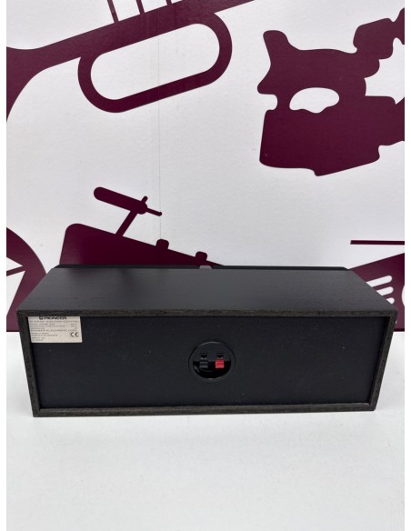 8-8-81950-3-Accesorio Sonido Pioner 50w