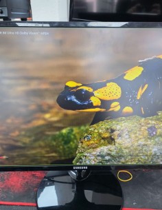 1-1-280634-1-Monitor LED Samsung Ls27f350phuxen 