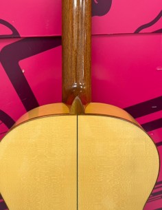 7-7-87824-1-Guitarra Clasica Paco Castillo 213F 2