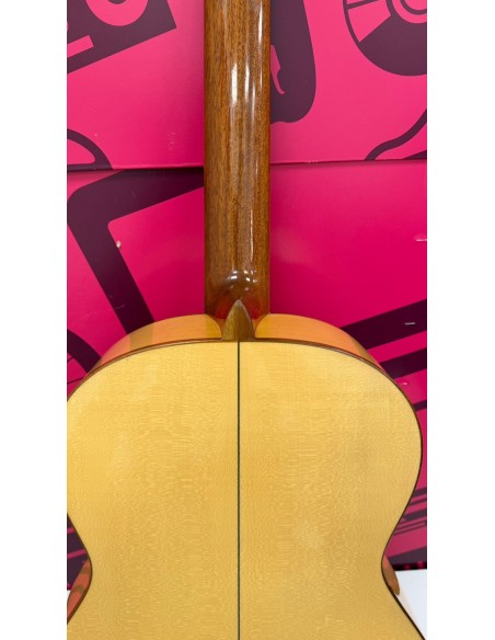 7-7-87824-2-Guitarra Clasica Paco Castillo 213F
